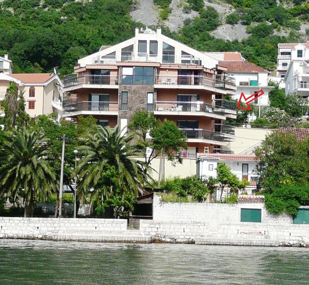 Apartments Coral Котор Экстерьер фото